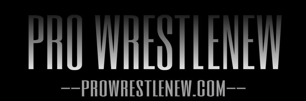 PRO WRESTLENEW